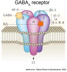 GABA-receptor